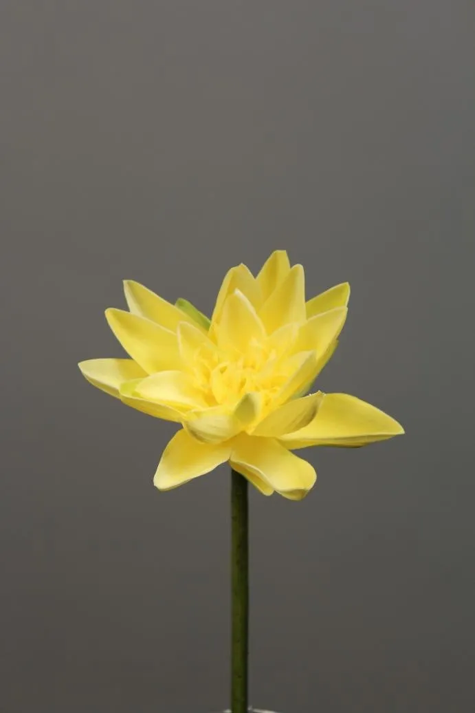 Artificial Flower Water Lily real touch floramatique SB005 (Pink) -REA1-6