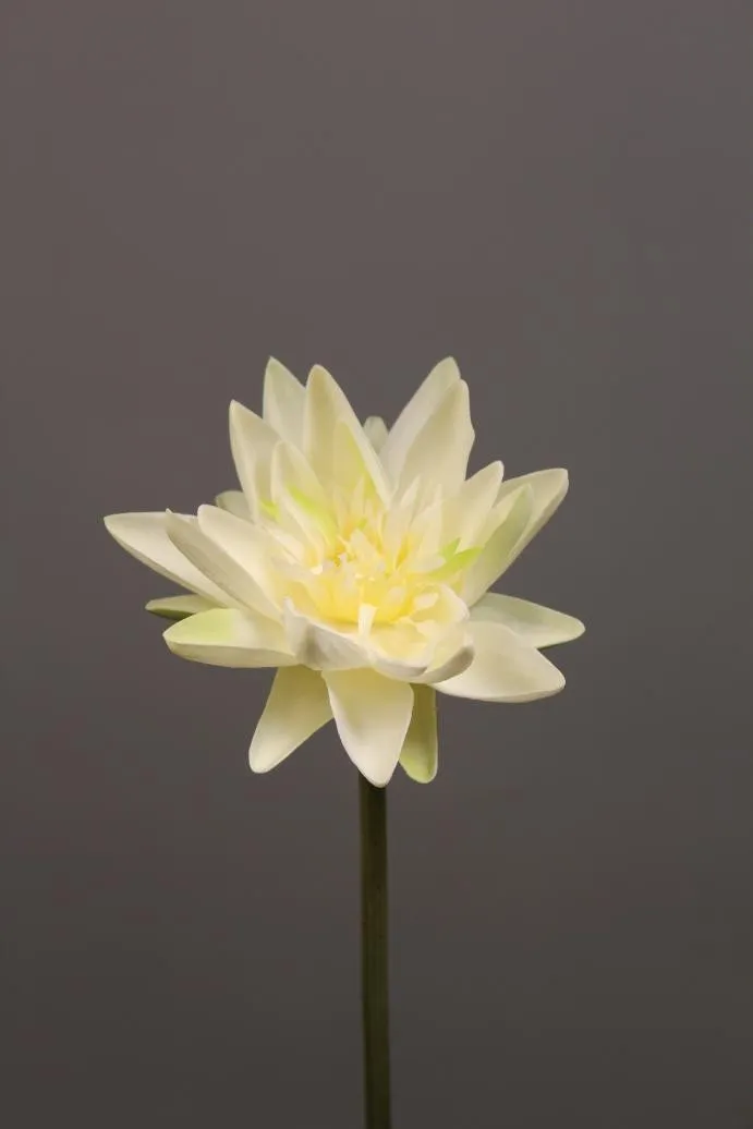 Artificial Flower Water Lily real touch floramatique SB005 (Pink) -REA1-6