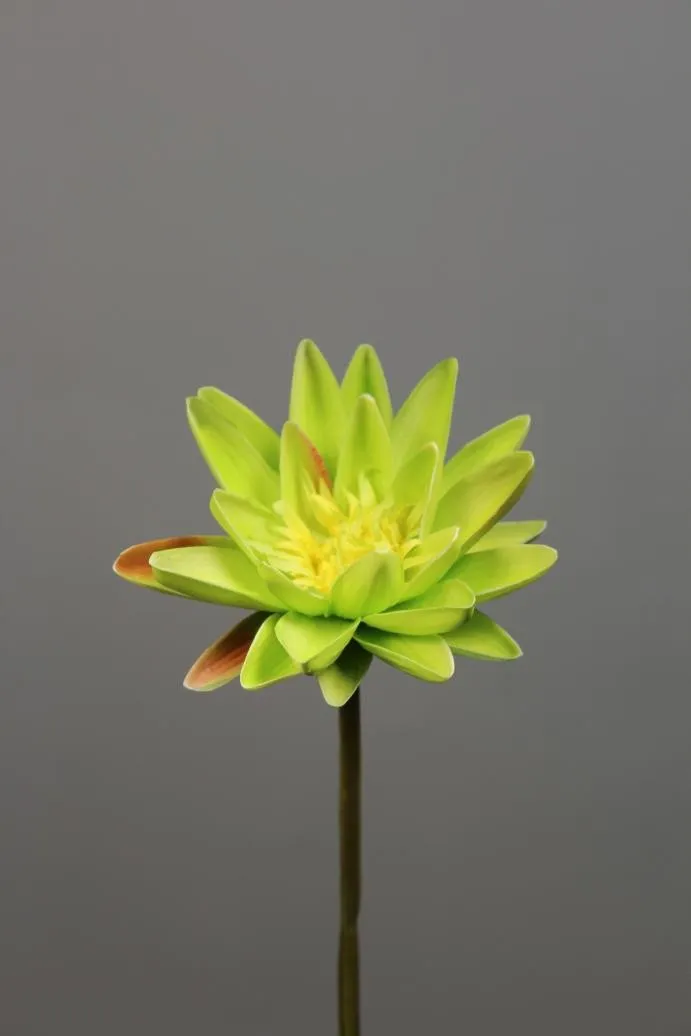 Artificial Flower Water Lily real touch floramatique SB005 (Pink) -REA1-6