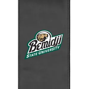 Bemidji State University Secondary Logo Panel