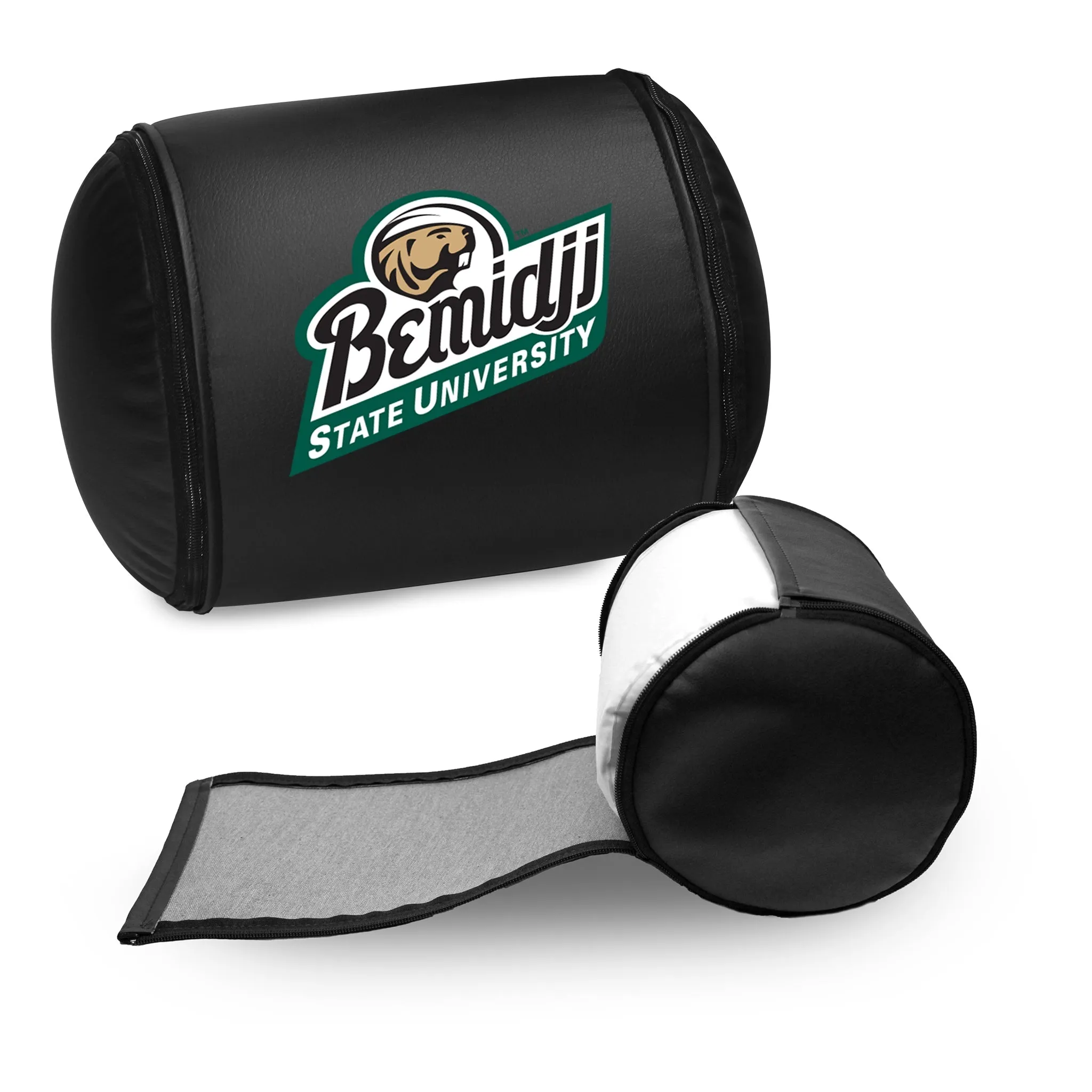 Bemidji State University Secondary Logo Panel
