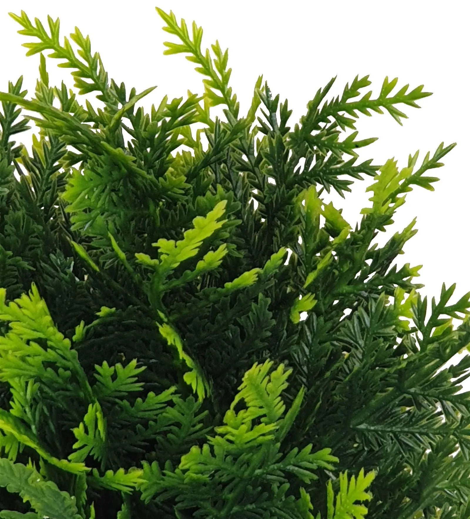 Green Shrub 25cm Life-like Artificial Plant by Criterion