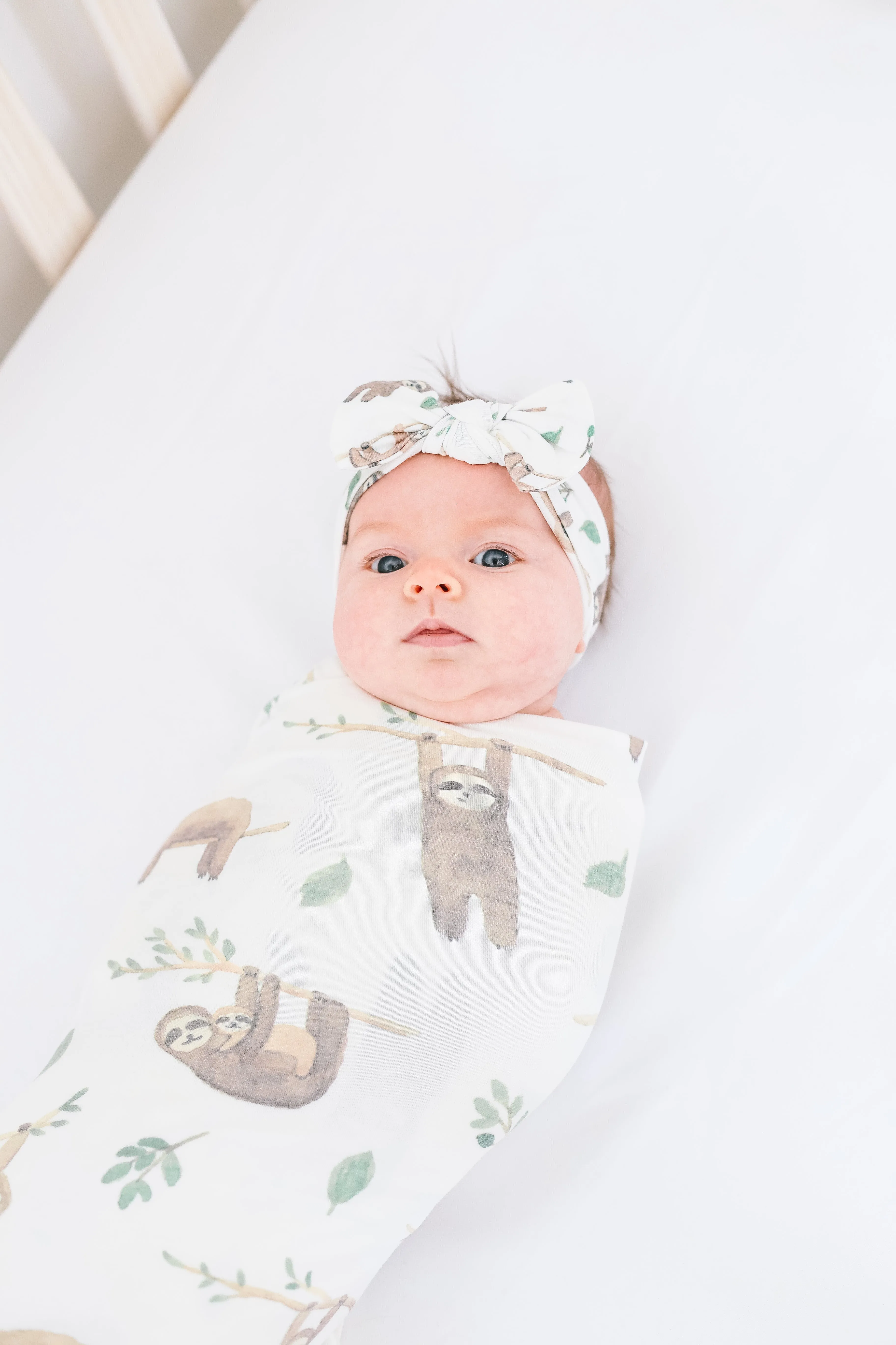 Knit Headband Bow - Noah